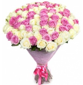 Pink & White Roses