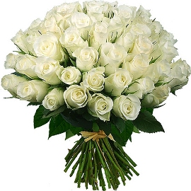 Adorable White Roses