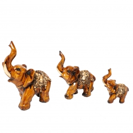 Set of Elephant