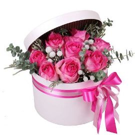 Pink Roses Attraction