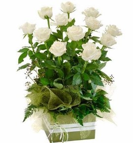 White Roses Arrangement